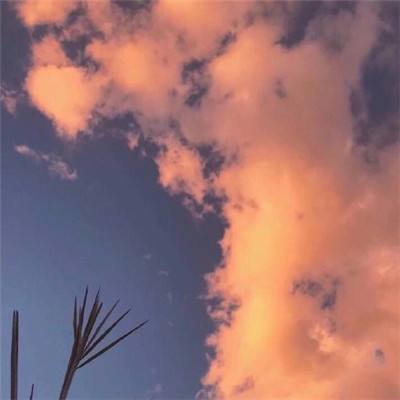 激战太平洋游戏