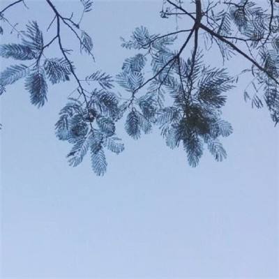 三国英雄手游下载